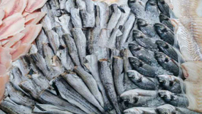 Russia Begins Exporting Fish To Brazil