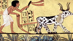 Russia, Egypt Agricultural Trade Up 7% In Q1 2026