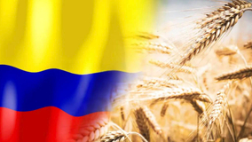 Russia Exports Wheat To Colombia For First Time In Three Years