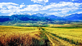 Kyrgyzstan Looks For Agricultural Processing Opportunities From Russian Investors