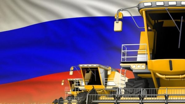 Россия стала вторым крупнейшим поставщиком пшеницы в Бразилию в рамках создания зерновой биржи БРИКС