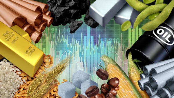 БРИКС и ЕАЭС могут создать общий биржевой товарный рынок