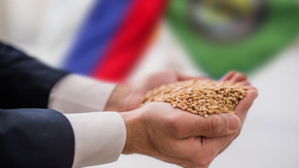 Покупатели из стран Ближнего Востока и Северной Африки доминируют в российском зерновом экспорте