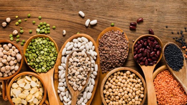 Россия наращивает экспорт агропродукции и удобрений в Индию