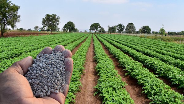 Производство удобрений в России достигло рекордного уровня