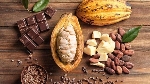 Россия поддержит мировую производительность какао, поставляя удобрения в Гану