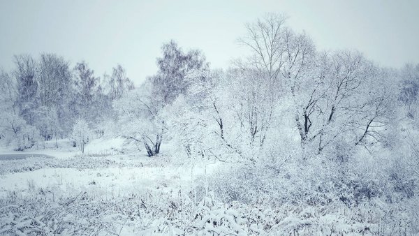 Россия, Венгрия и Молдова объединились для поставкок СПГ в Приднестровье