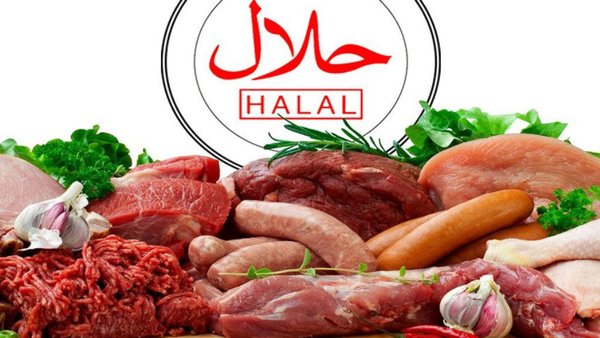 Россия и Катар обсуждают создание агропромышленного хаба халяльной продукции