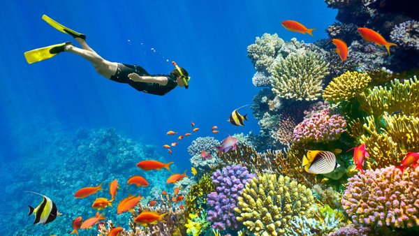 Россия откроет консульство в Шарм-эль-Шейхе