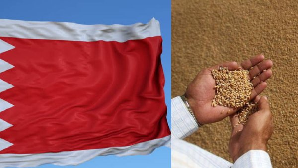 Россия и Бахрейн планируют создать хаб для экспорта российской пшеницы на Ближнем Востоке