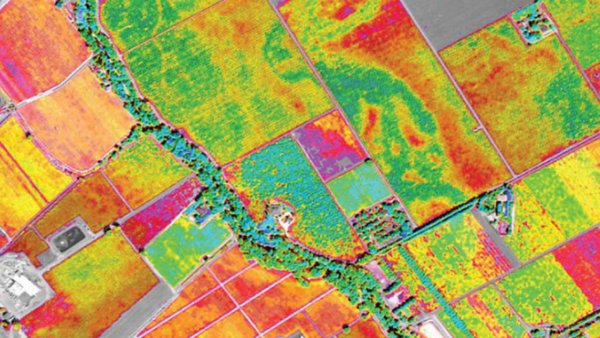 Россия предоставит странам-членам БРИКС, ШОС и ЕАЭС спутниковые данные для мониторинга сельского хозяйства