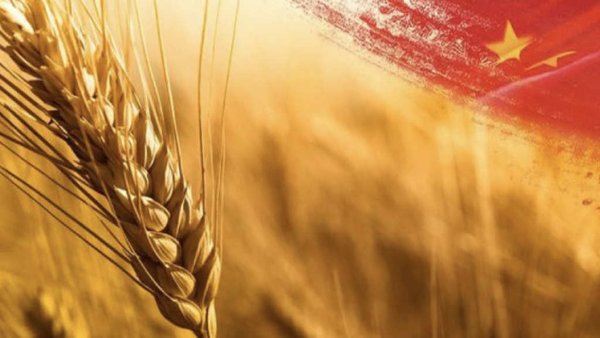 Объём торговли продукцией АПК между Россией и Китаем с начала года вырос на 15%