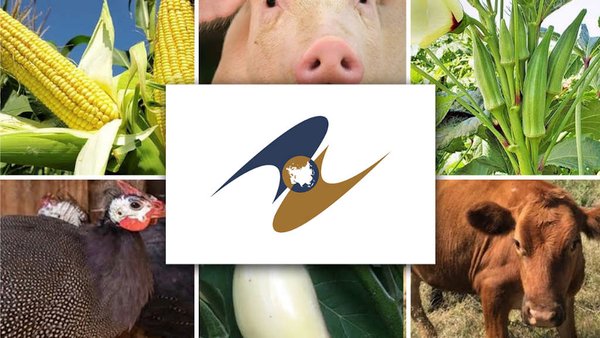 Доходы России от экспорта продукции АПК в ЕАЭС выросли на 23% в 2025 году