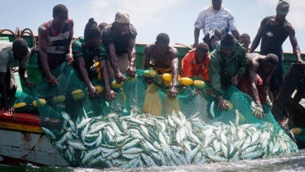 Russia Looks To Africa For Seafood Supply Chains