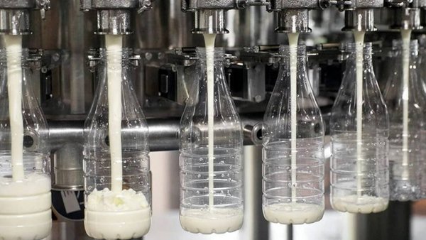 India’s UDM Nestors Investing in Dairy Production In Izhevsk SEZ