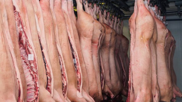 First Shipment Of Russian Pork Delivered To China