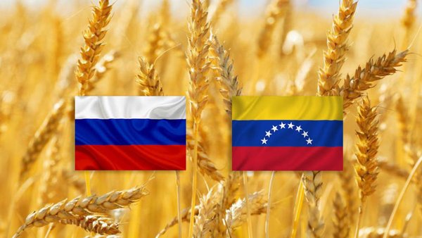 Kaliningrad Exports Wheat To Venezuela For The First Time