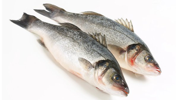 Russia Purchases 35% More Fish From Turkiye in H1 2024