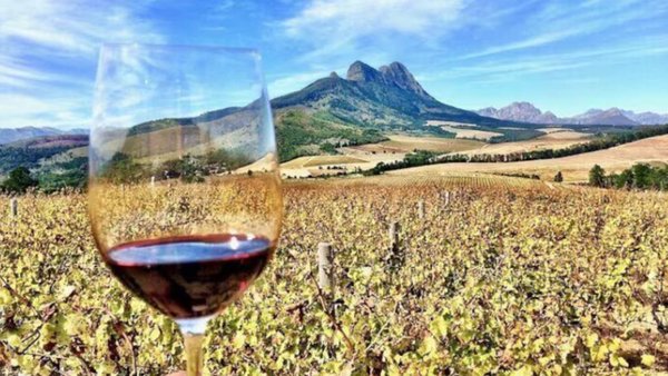 South Africa To Export More Wines To Russia