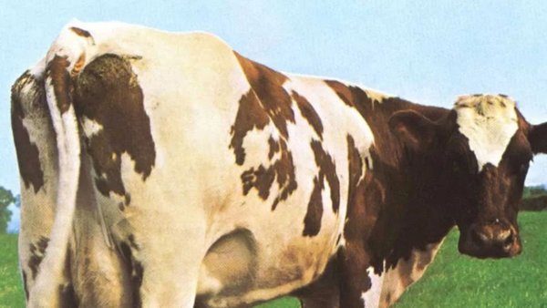 Russia Global Dairy Exports Up 20% in 2024