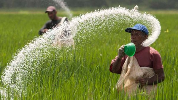 Russia Ships Fertilizer Aid To Sri Lanka 