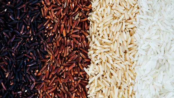 Russia’s 2024 Rice Harvest Up 17% To Reach A Record High