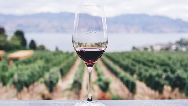 How Russia Is Repositioning Its Wine Industry To Boost BRICS and Domestic Production 