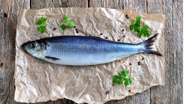 Russia’s Herring Exports Increased Six-Fold In January