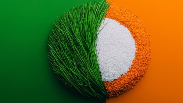 Russia-India Agricultural Trade Grew 60% In 2024