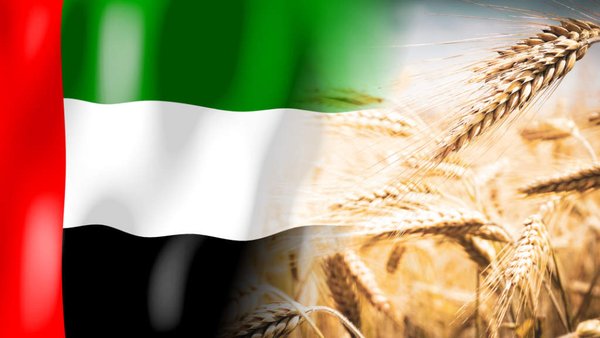 Russian Agricultural Exports To The UAE Up 40% In 2024   