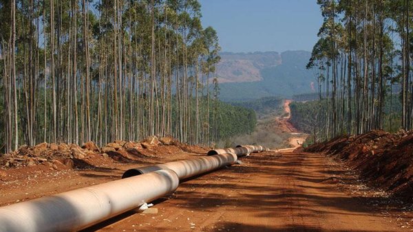 Russian Parliament To Ratify Republic of Congo Oil Pipeline