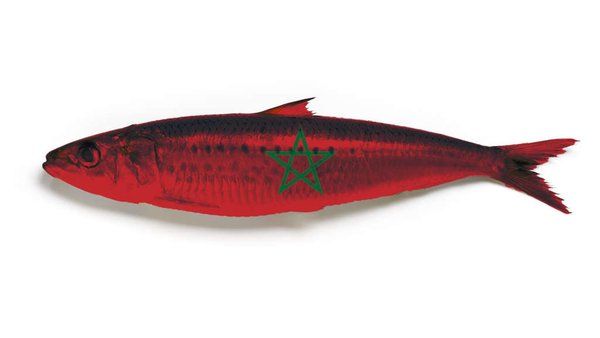 Russia, Morocco, Sign Fishing Agreement To 2029