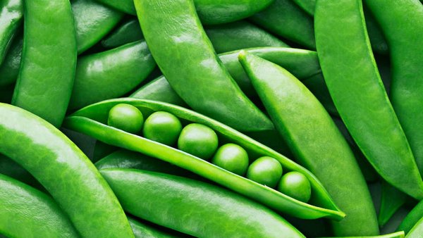 Russia Becomes Major Exporter Of Peas To India