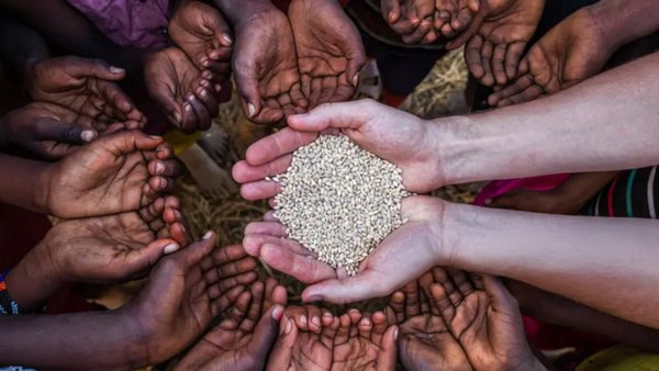 Russia Continues Humanitarian Food Aid To Africa