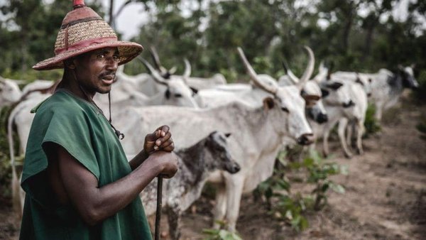 Russia To Assist Central African Republic In Veterinary Drugs, Vaccines & Infrastructure