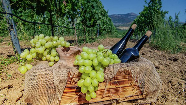 Crimean Consumer Product Sales Increase By 40% 