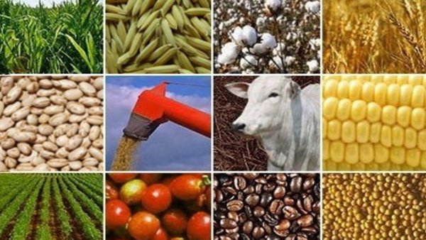 Russia and Qatar Look To Develop Middle East Agri-Industrial Hub