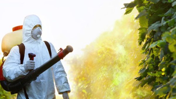 Russian Health Watchdog Cautions Turkiye Over Agricultural Exports  