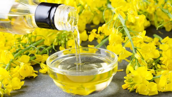 Russian Rapeseed Oils Conquer 50% of China’s Total Market as Agricultural Exports Boom