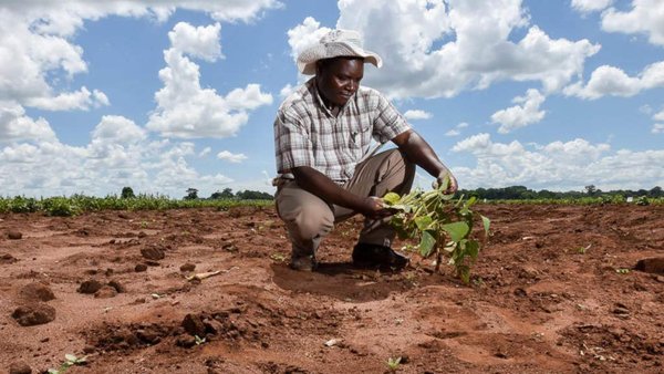 Russia Increases Fertilizer Exports To Africa By 50% In Past Three Years