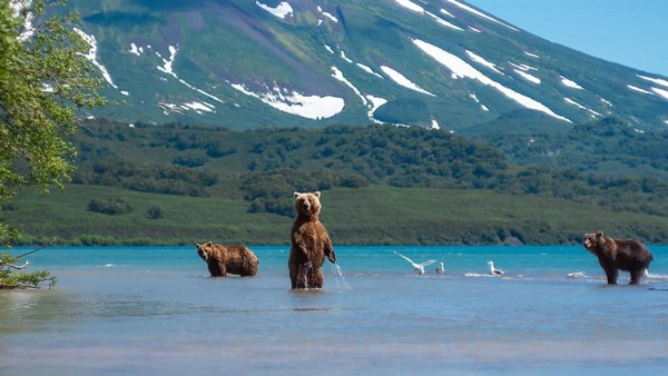 Russian Far East Booming As Putin Visits To & From Alaska