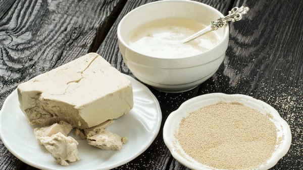 Chinese Investors Commit Over US$137 Million To Expand Yeast Production Plant In Lipetsk