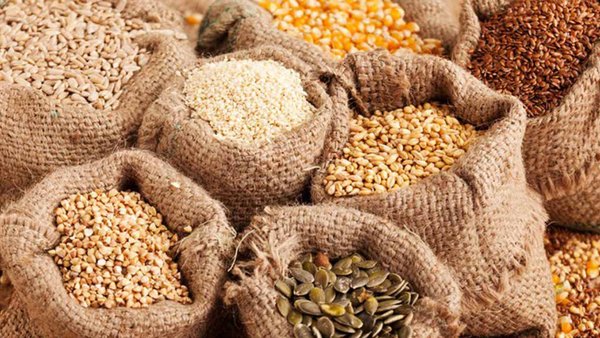 Russia, Nigeria, Sign Crop Breeding & Seed Production Agreement