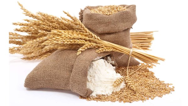 Russia’s Wheat Gluten Exports To India Up Nine-Fold During 2025 Year-to-Date