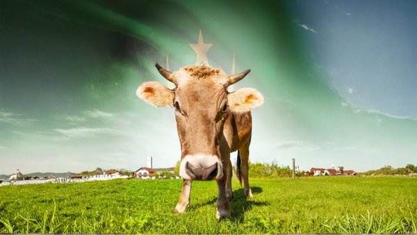 Russia Begins Dairy Exports To Mauritania