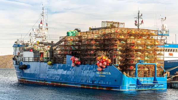 Primorsky Krai Investors Putting Billions Into Commercial Maritime Logistics Construction Projects