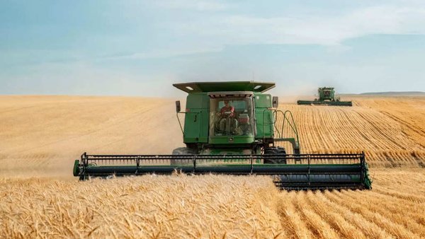 Russian Agricultural Exports To Uzbekistan Up 15% During 2025