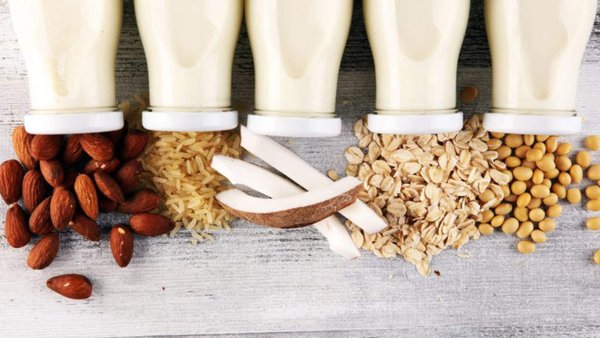 Russia To Break Records For Exports Of Plant-Based ‘Milk Alternative’ Beverages
