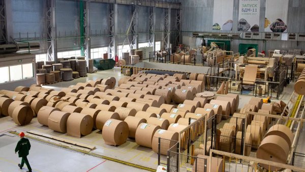 Russia’s Segezha Group To Build Timber Processing Factory In Shanghai 
