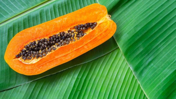 Russia’s Institute Of Subtropical Crops To Produce Tropical Fruits For Domestic Consumption